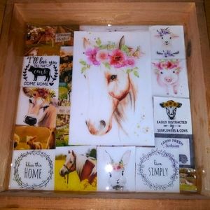 Custom Photo Tray